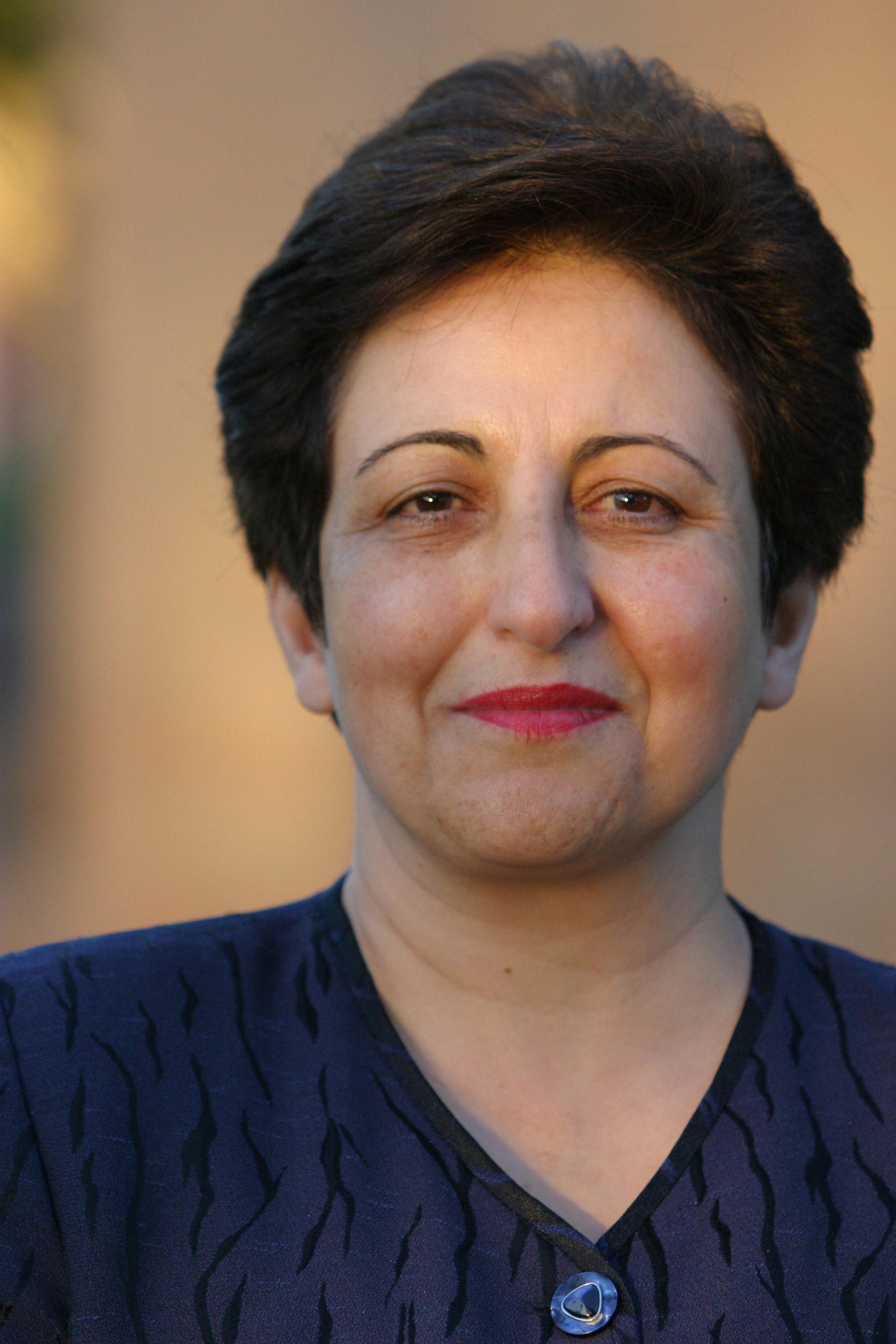 Harvard center for middle eastern studies sponsors human rights ...