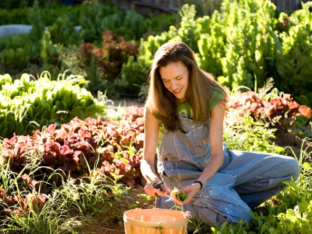 Photograph by Douglas Merriam Wade raises about 70 percent of Vinaigrette’s produce on her own land, and whatever happens to be thriving inspires her salad creations.