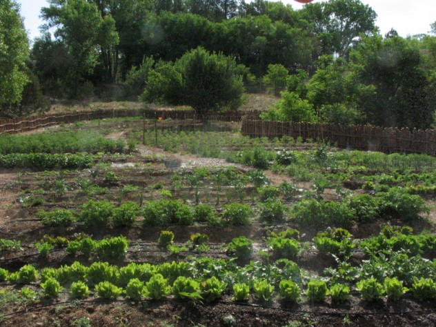 Photograph by Douglas Merriam Erin Wade's farm in Nambé, New Mexico, a hamlet 20 miles north of Santa Fe