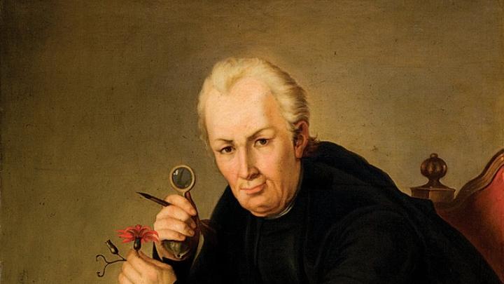 José Celestino Mutis, in a portrait from the Royal Academy of Medicine, Madrid 