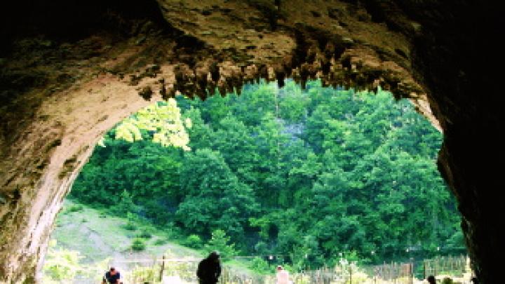 Views from inside and outside Dzudzuana Cave in the Republic of Georgia. Bar-Yosef and colleagues are working to date the Middle to Upper Paleolithic transition here in the Caucasus foothills, where it may have occurred much later than in other parts of Europe. 
