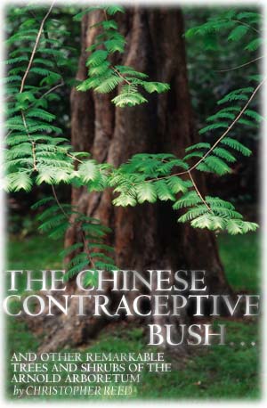 The Chinese Contraceptive Bush
