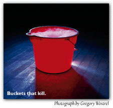 Buckets that kill. Photograph by Gregory Wostrel.