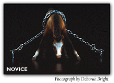 Novice. Photograph by Deborah Bright.