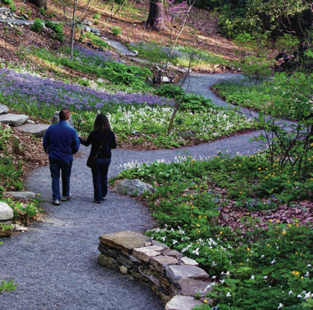 Garden In The Woods Harvard Magazine