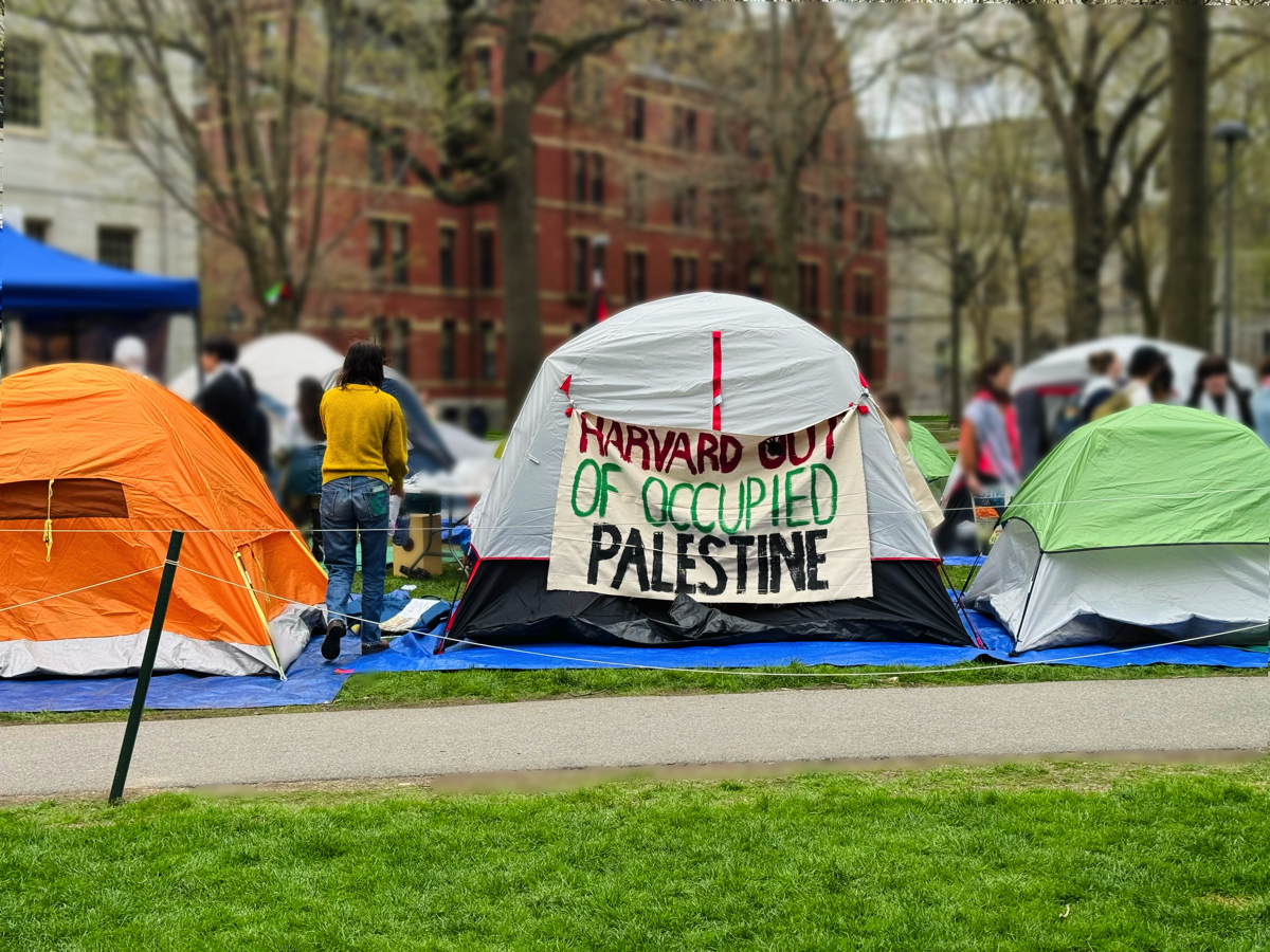 Pro-Palestininan tent encampment, Harvard Yard, April 24-May 14
