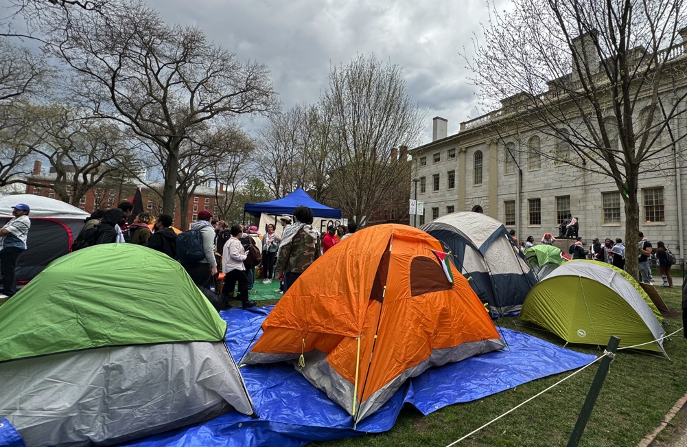 tents in Harvard Yard