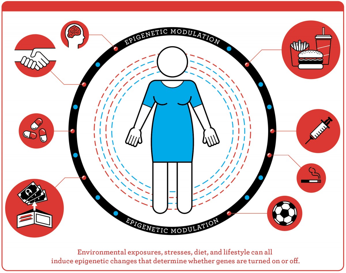 Image result for EPIGENETICS