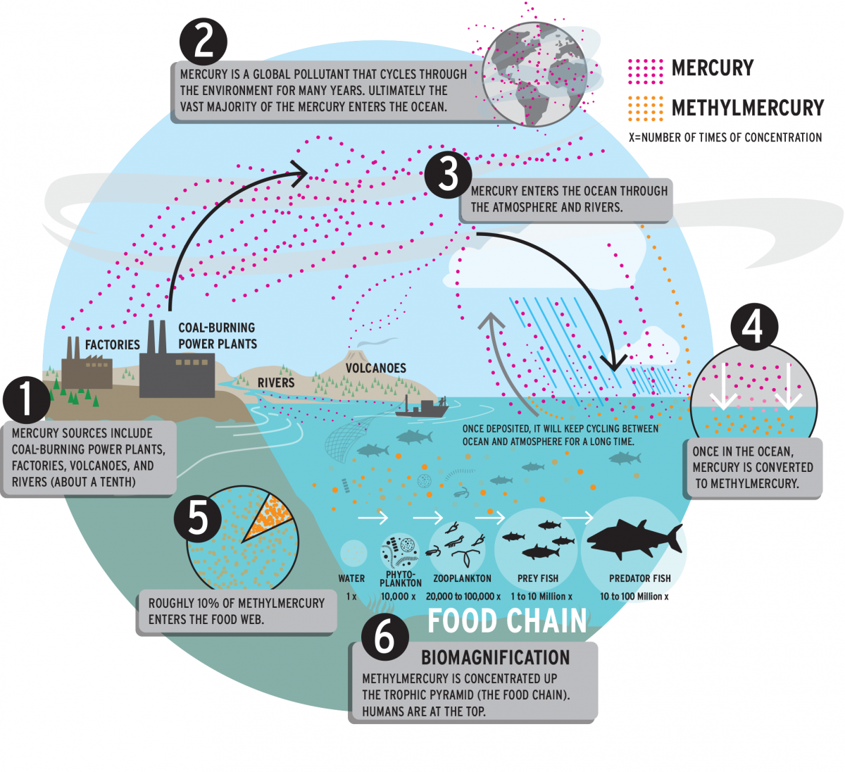 Harvards Elsie Sunderland Maps Invisible Ocean Pollutants Harvard