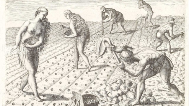 Native Americans cultivating a field