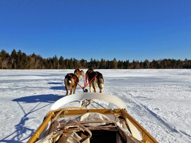 Photograph courtesy of Pforzheimer House The view from the back of a sled, gliding over Umbagog Lake