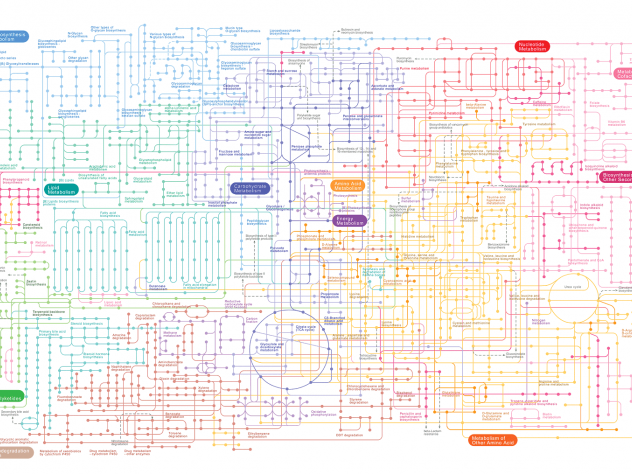 Metabolomics, the study of metabolites, provides telling clues to ...