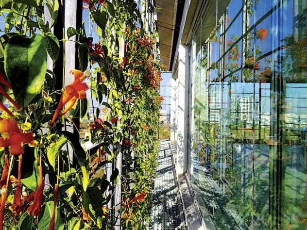 Photograph by Peter Pereira Plants on the latticed outer façade, hydrated by a misting system, provide shade and fresh breezes.