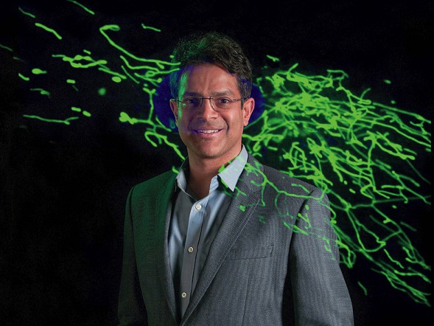 Vamsi Mootha with an image from his lab showing thread-like mitochondria (green) moving within a cell.