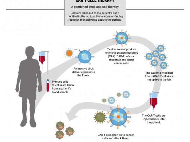 Harvard And Life Sciences Partners To Build A Center For