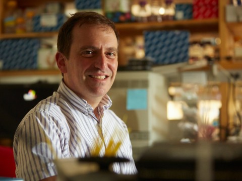 Epidemiologist Marc Lipsitch