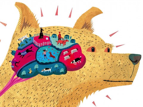 Illustration of a dog with a brain made up of different colorful regions depicting skills such as hunting and herding