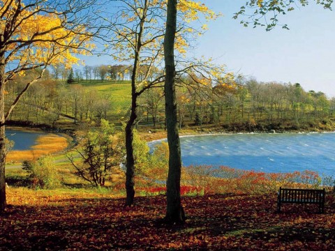 Cold Storage Full Movie Online Free