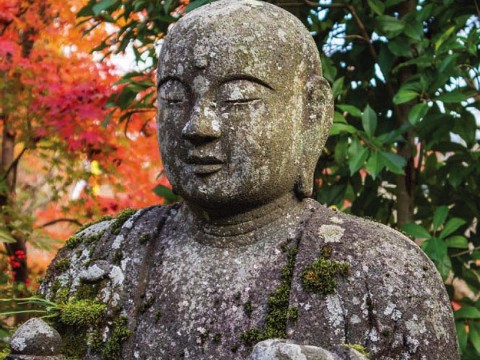 A stone statue of the Buddha appears against a background of colorful autumn leaves.