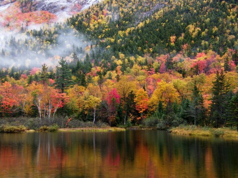 A lake next to a mountain with autumn foliage and fog