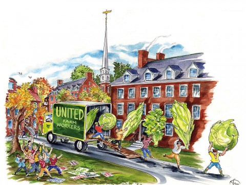 In Harvard Yard, workers unload gigantic heads of lettuce and other greens from a truck prominently labeled United Farm Workers as students celebrate the University's decision to support the union workers by buying only UFW-certified produce. 