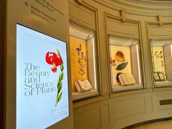 Botanical works from Houghton’s collections displayed in the renovated lobby’s display cases for a summer exhibition