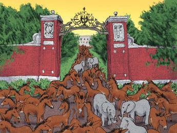 A large group of donkeys entering Harvard Yard with a few elephants interspersed.