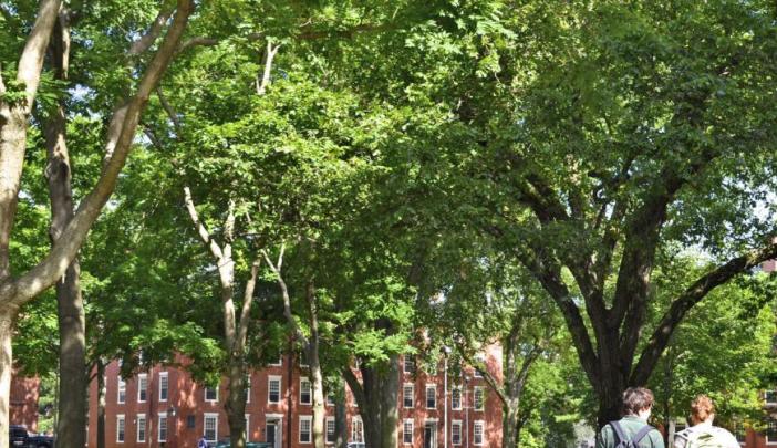 Harvard Yard with students walking