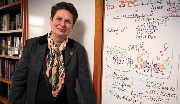 Catherine Dulac stands beside a whiteboard filled with colorful handwritten notes and diagrams, wearing a dark blazer and patterned scarf.