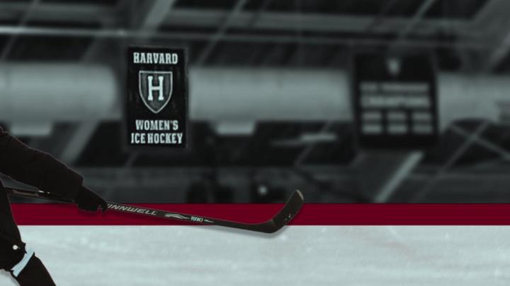 women's hockey image of a rink and a hockey stick
