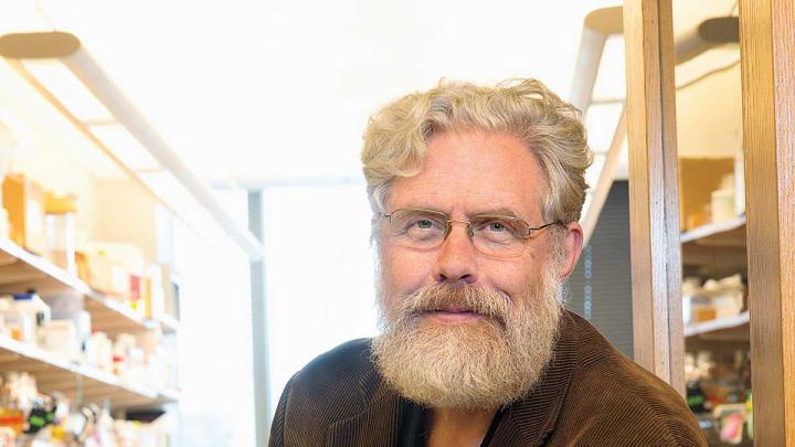 George Church&rsquo;s lab has reengineered the genetic code of the bacterium <i>Escherichia coli</i> to make it resistant to viral infection.