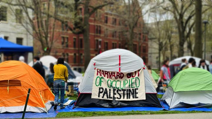 Harvard Students Form Pro-Palestine Encampment | Harvard Magazine