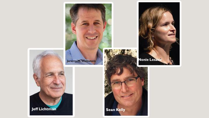 Newly appointed deans Jeff Lichtman, Jeremy M. Weinstein, Sean Kelly, Nonie Lesaux