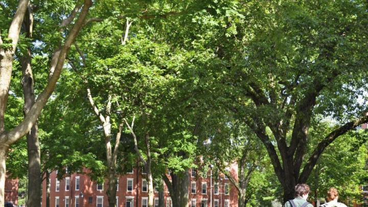 Harvard Yard with students walking