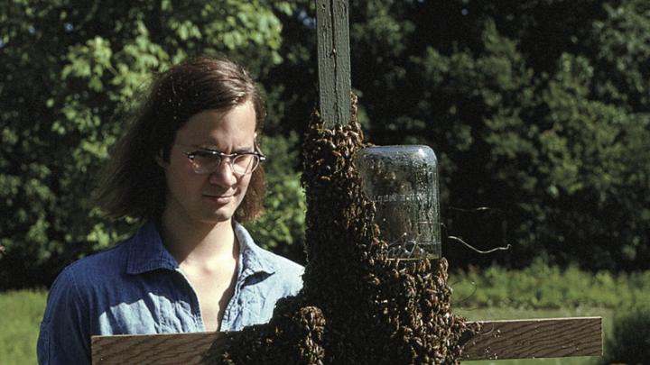 The author in 1974—already infatuated with <i>Apis melllifera</i>—studies a swarm choosing its home.