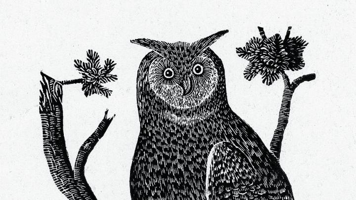 Jonathan Fisher&rsquo;s wood engraving &ldquo;The Great Owl,&rdquo; from his book <i>Scripture Animals,</i> and his home in Blue Hill, Maine 