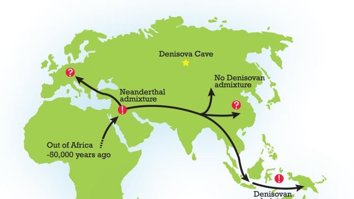 Early Human History Brought To Light By Genetics Harvard Magazine   Rn Map Neanderthal 