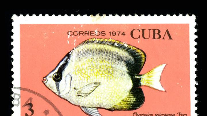 The 1974 Cuban stamps display fish named by Poey.