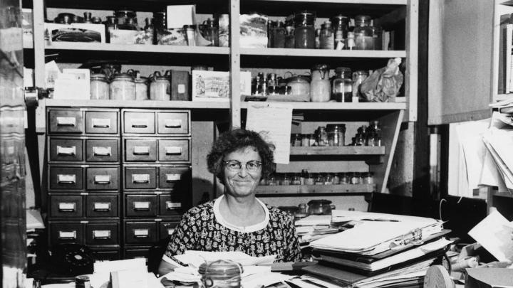 Sears in her Woods Hole office in 1960