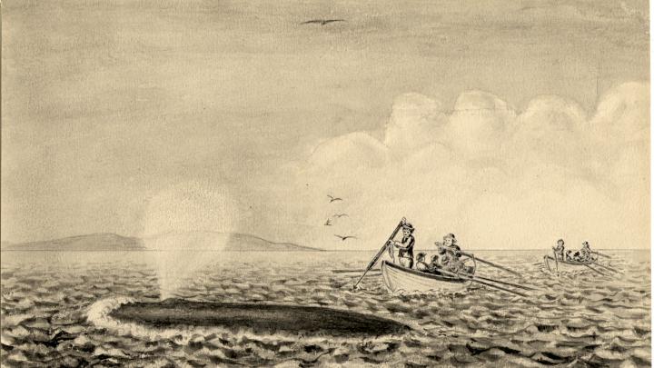 “The Whale breaking water and spouting at the surface. The boats have come up with it and the harpooner is about to strike.”