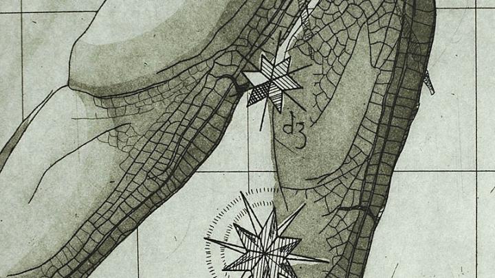 Detail from print